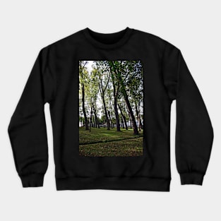 Brugge Beguinage Crewneck Sweatshirt